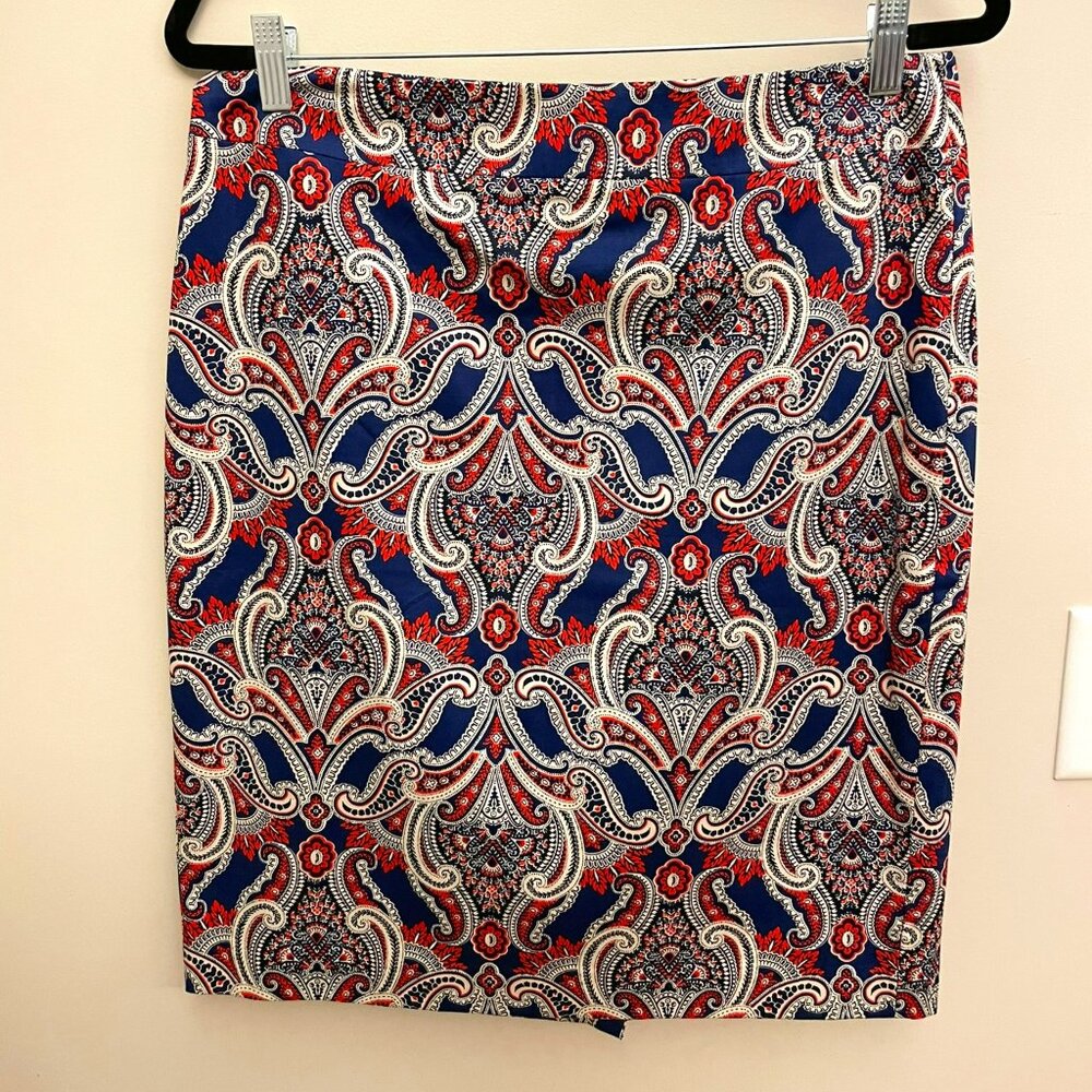 Ann Taylor Pencil Skirt - Professional